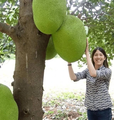 Funny pictures for adults (38 photos)