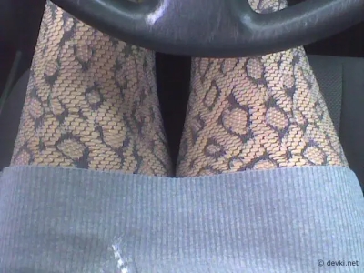 Harmony and Passion: The Art of Sexual Seduction